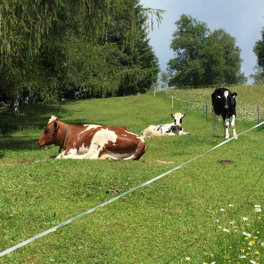 Schneiderhof Villa Seefeld in Tirol Exteriör bild